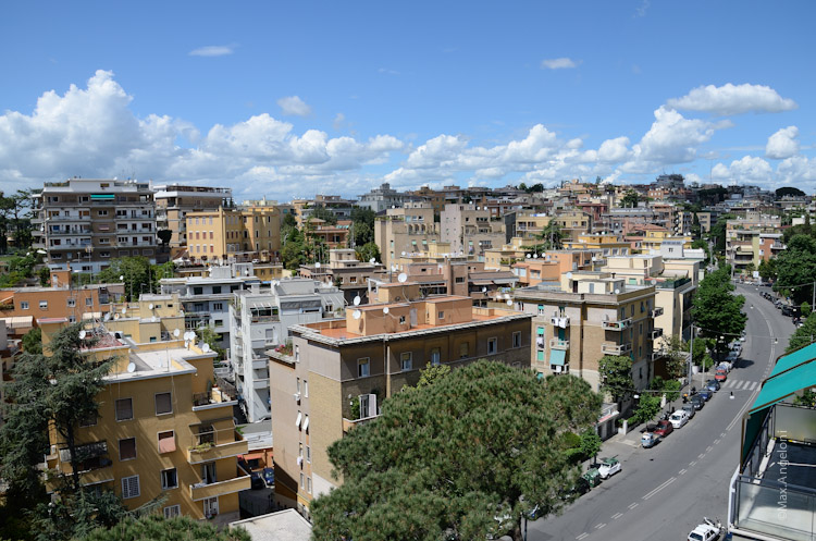 DSC_5339.jpg