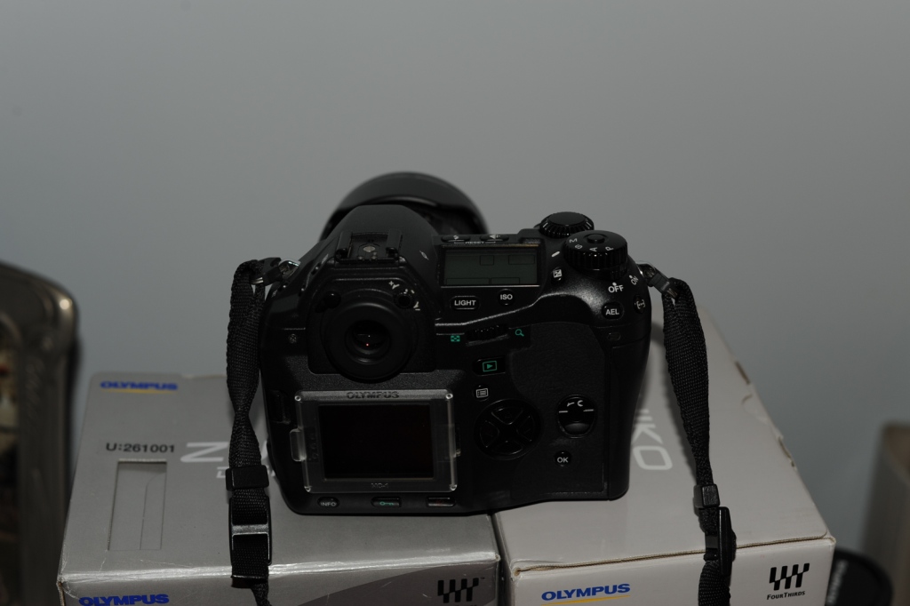 dsc_5411_933.jpg