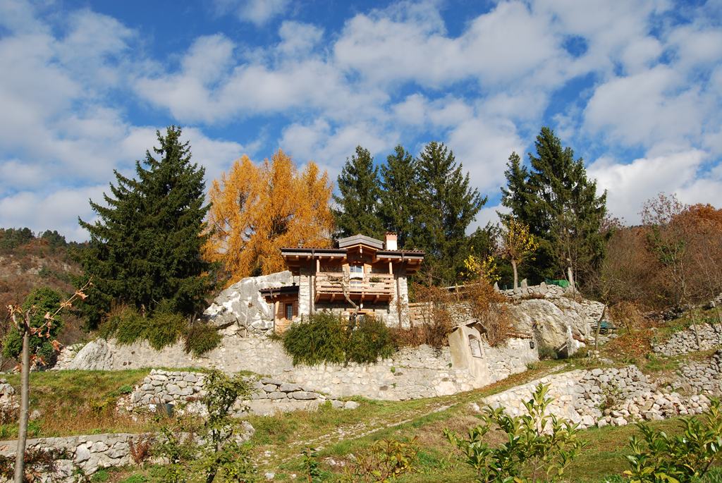 DSC_5517origresize.JPG