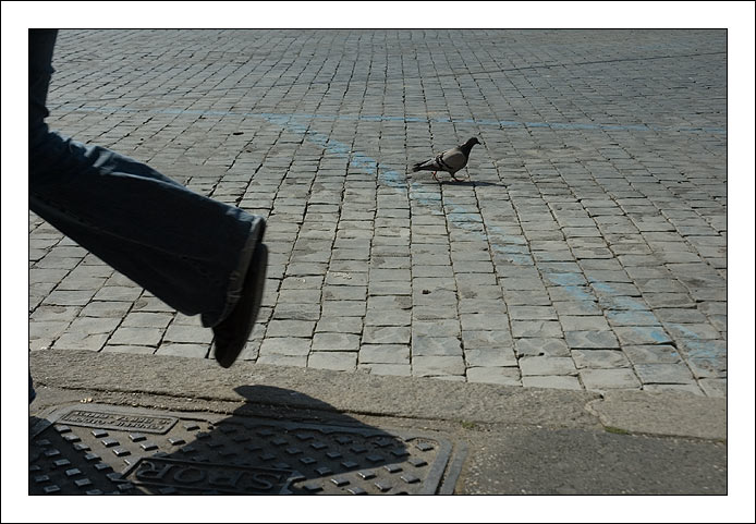 DSC_9172.jpg