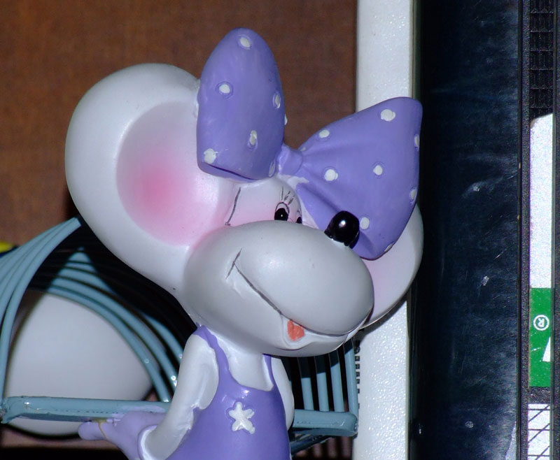 DSCF0021.jpg