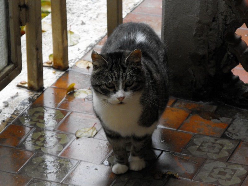 dscf0037.JPG