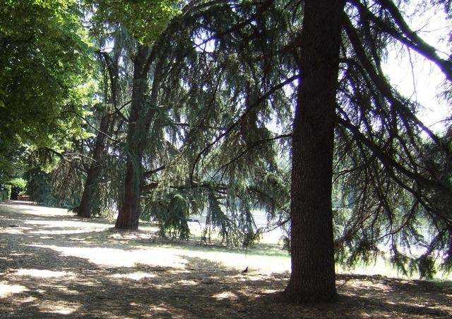 DSCF0053_cr.jpg