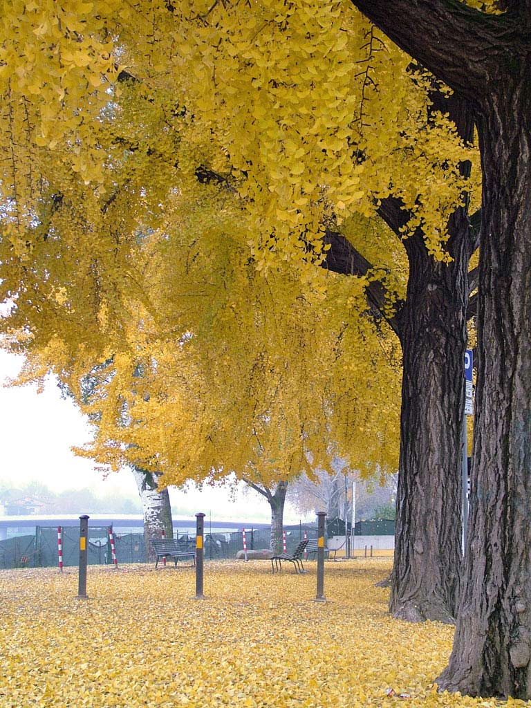 DSCF0066.jpg