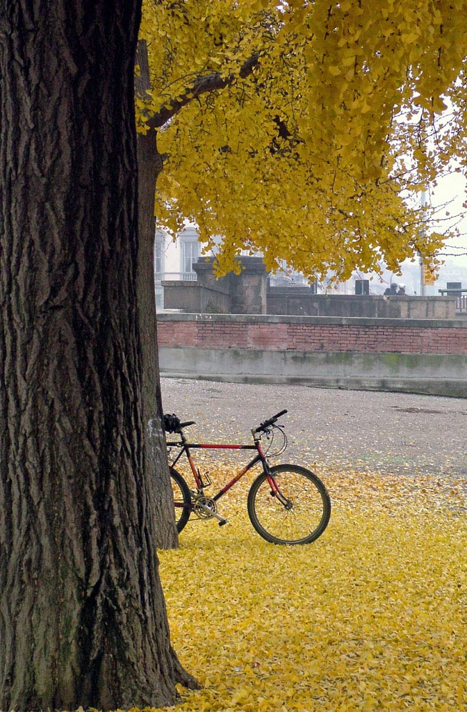 DSCF0077.jpg