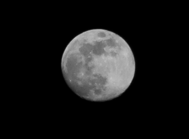 DSCF0157.JPG