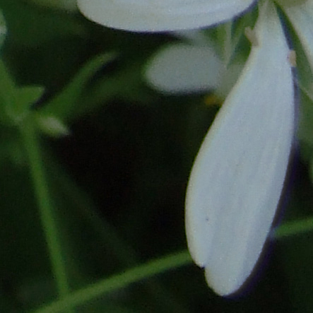 dscf0166_113.jpg
