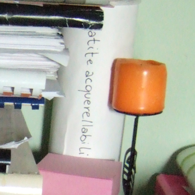 DSCF0219.jpg
