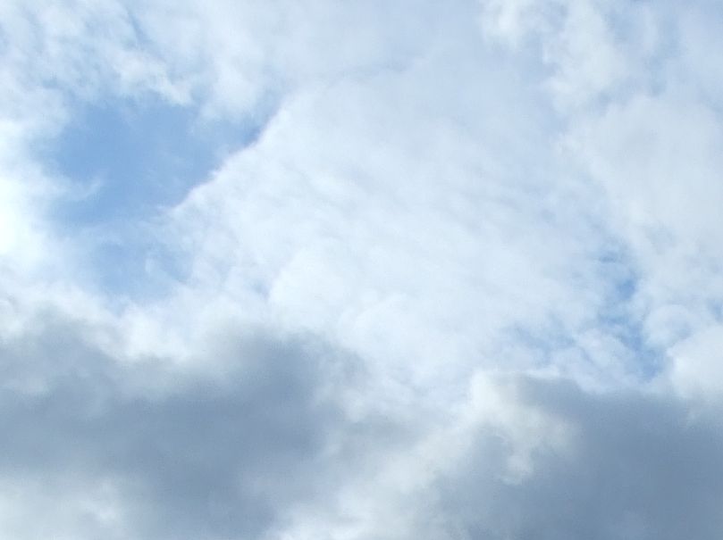DSCF0423.jpg