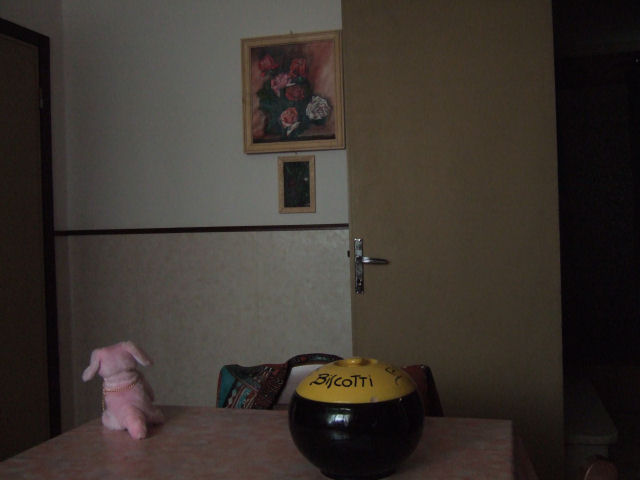 DSCF0608.JPG