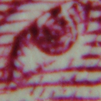 DSCF0615_crop.jpg