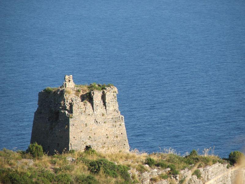 DSCF0705.jpg