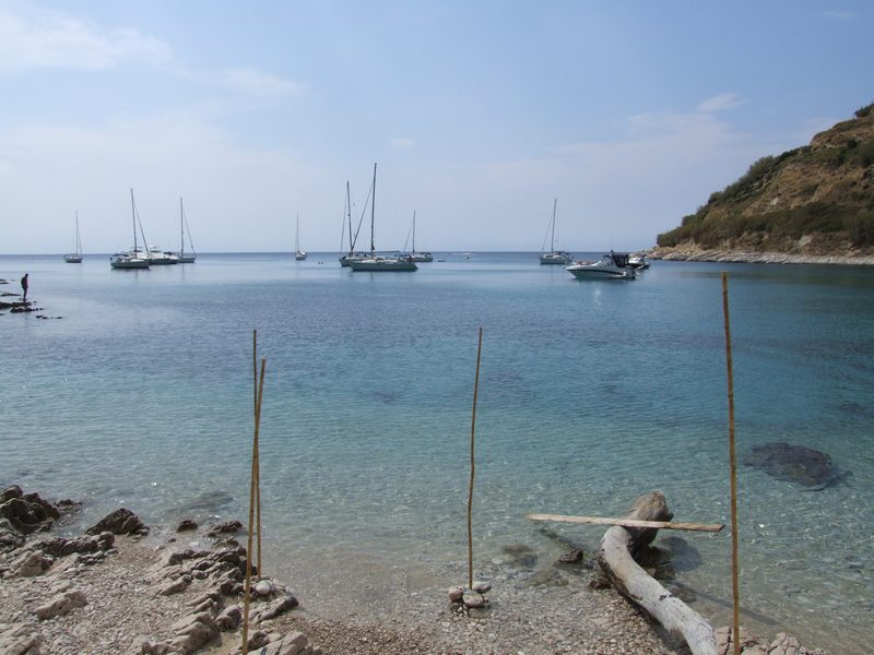 DSCF0901.JPG
