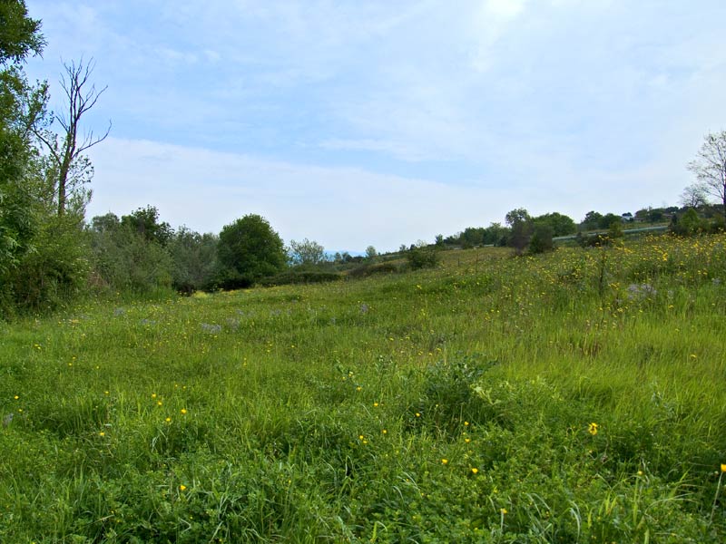 DSCF0926.jpg