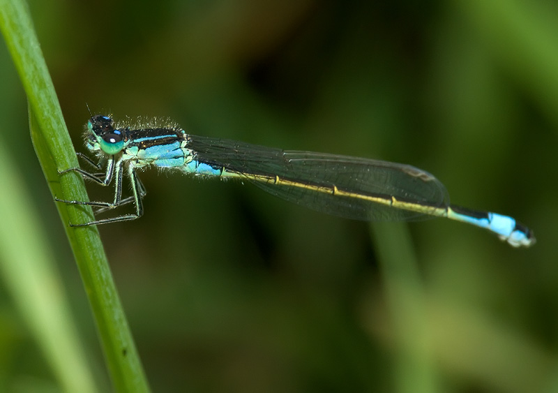 DSCF0947.jpg
