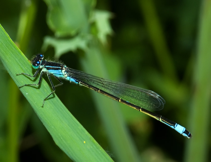 DSCF0948.jpg