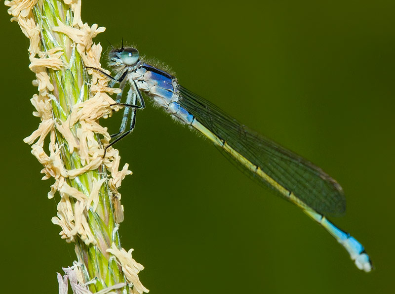 DSCF0987.jpg