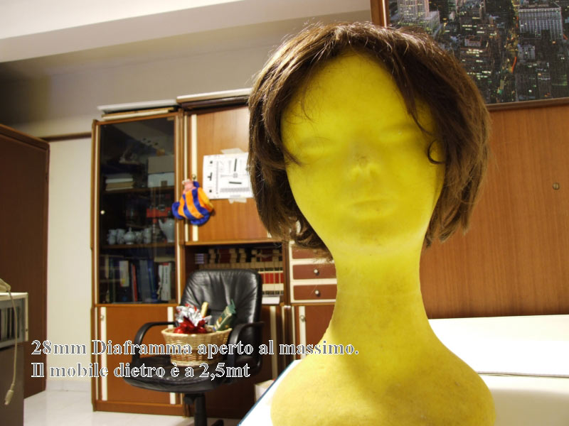 DSCF1353.jpg