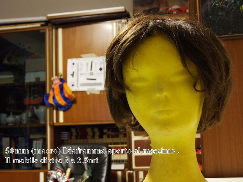 DSCF1355.jpg