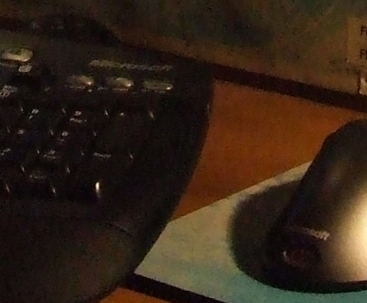 DSCF1359.jpg