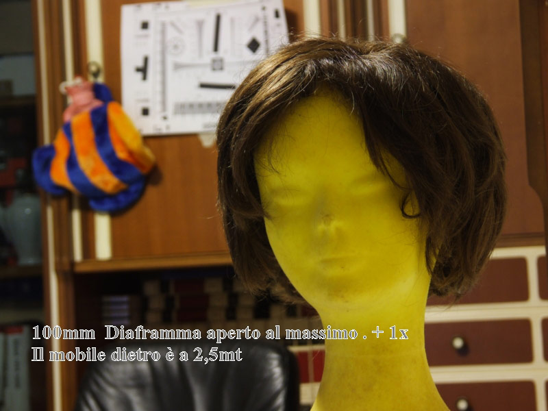 DSCF1363.jpg