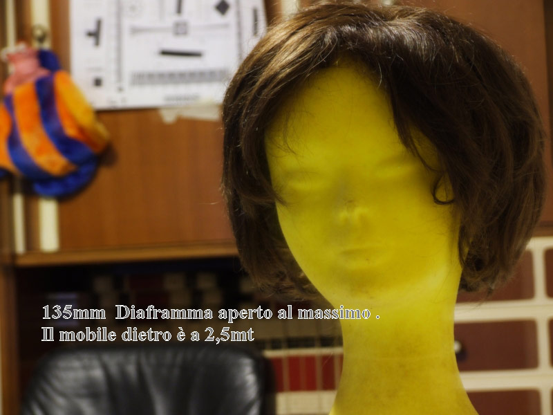 DSCF1365.jpg