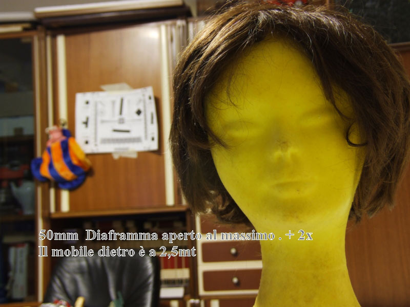 DSCF1366.jpg