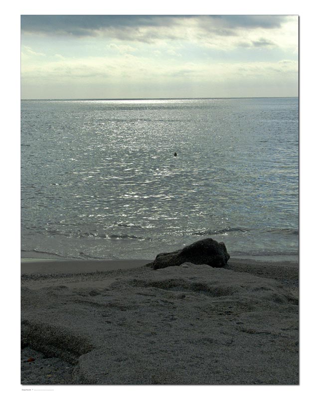 DSCF1556.jpg