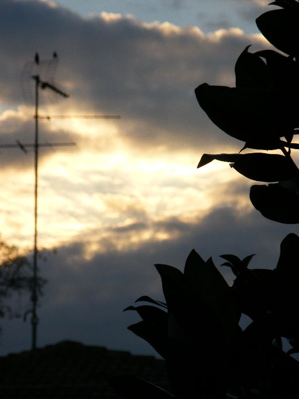 DSCF1665 rid.JPG