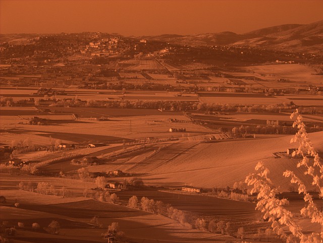DSCF1854.jpg