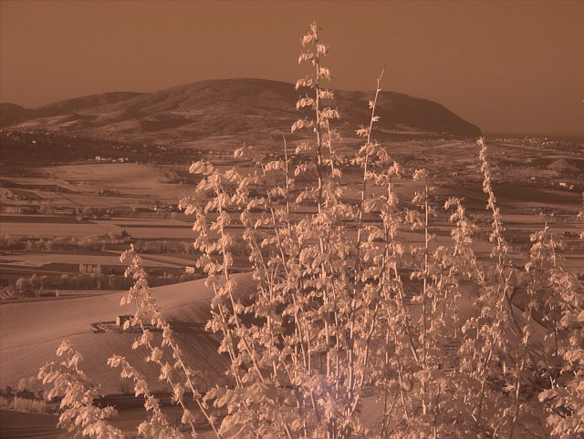 DSCF1855.jpg