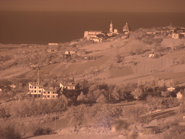 DSCF1856.jpg