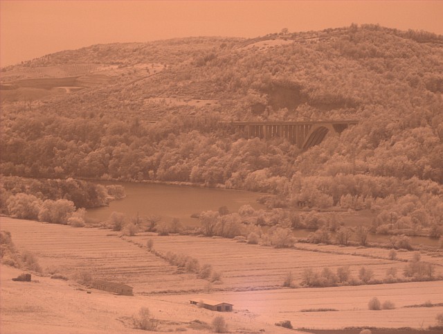 DSCF1860.jpg