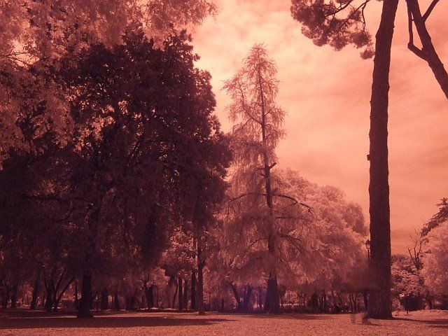 DSCF1890.JPG