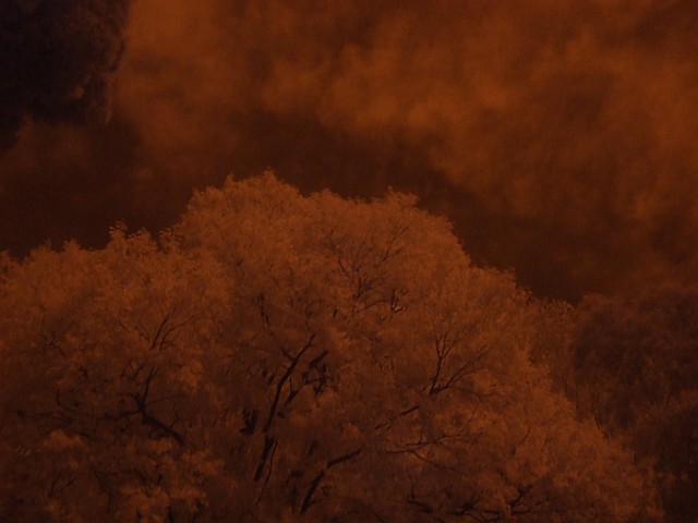 DSCF1891.JPG