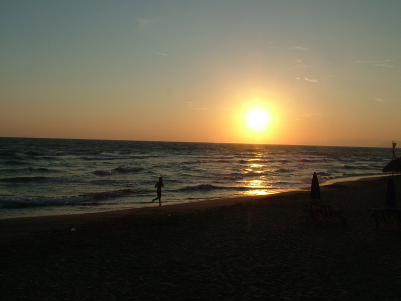 DSCF1981x.jpg