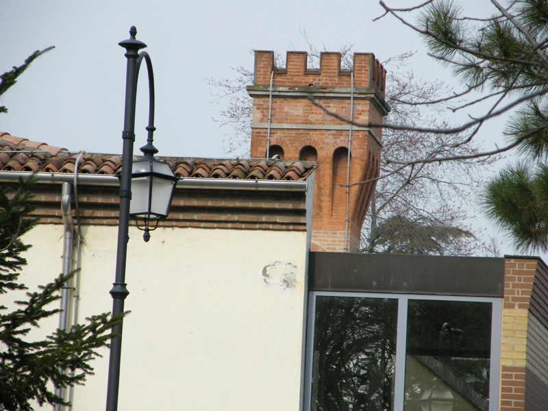 DSCF2051_tutta.jpg