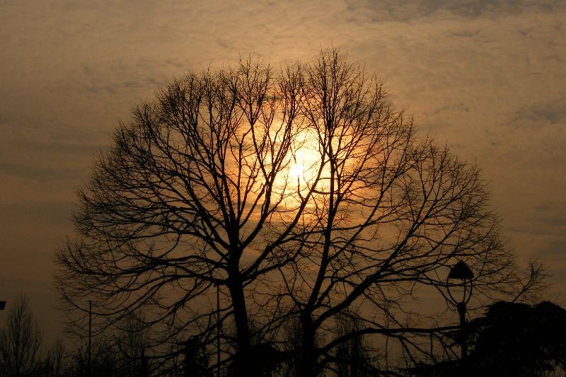 DSCF2066 rid.JPG