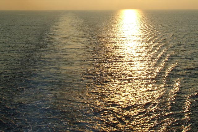 DSCF2207.jpg