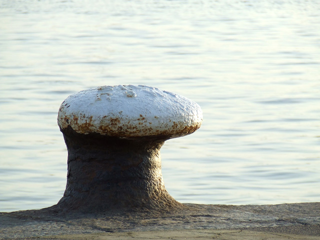 DSCF2244.jpg