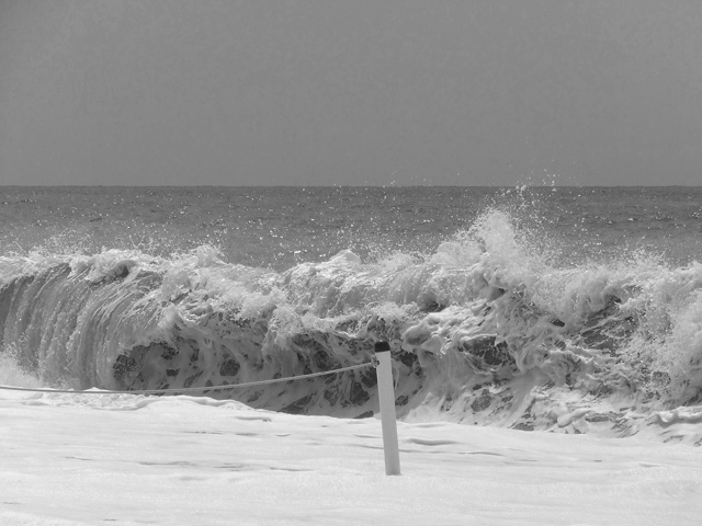 DSCF2672.jpg