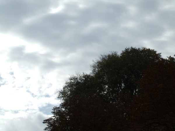 DSCF2704-thumb.jpg