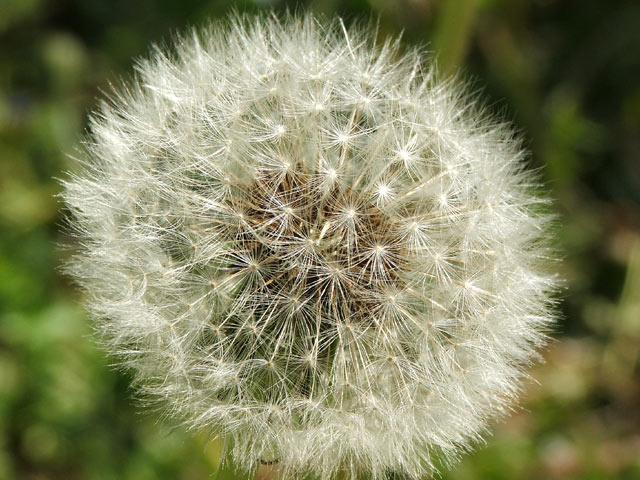 DSCF2713_1.jpg
