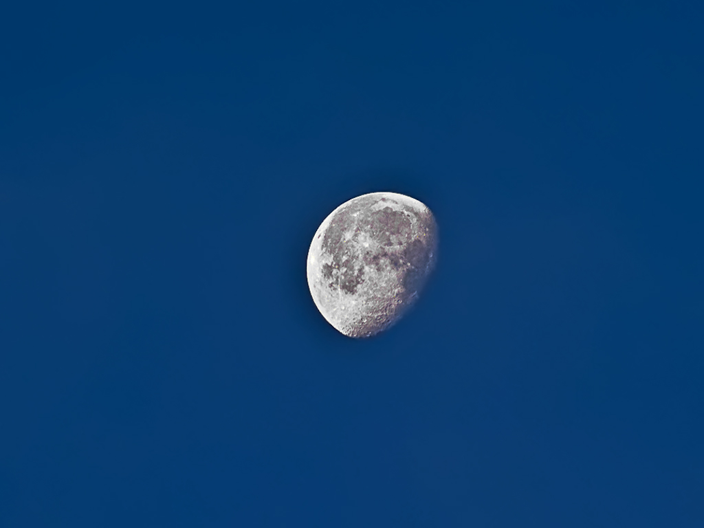 DSCF3519.jpg