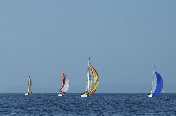 DSCF3531.jpg