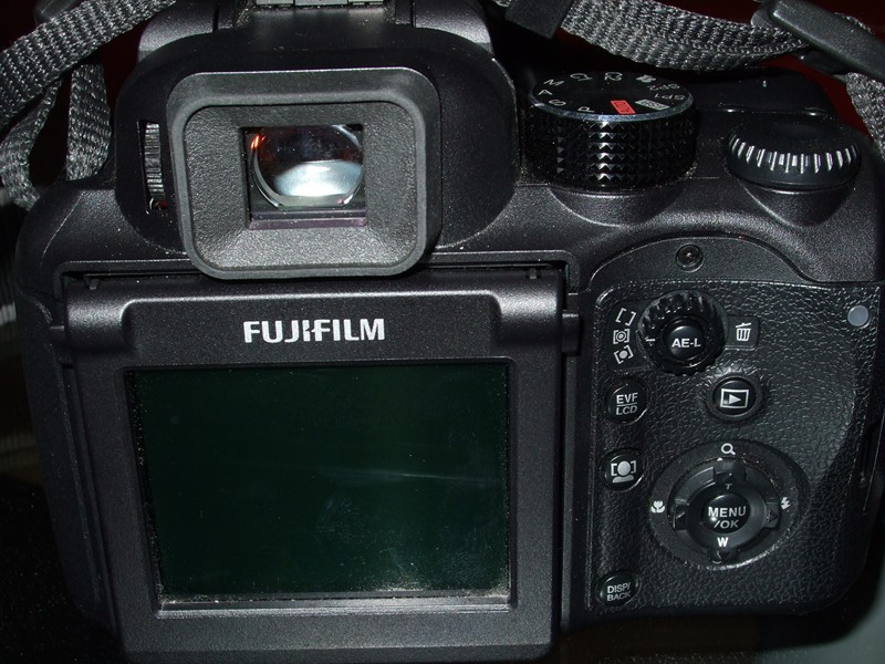 DSCF3533 (Copia).JPG