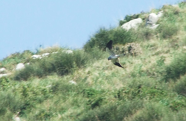 DSCF4028.jpg