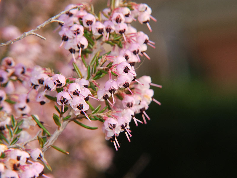 DSCF4301.jpg