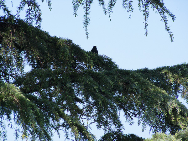 DSCF6620.jpg