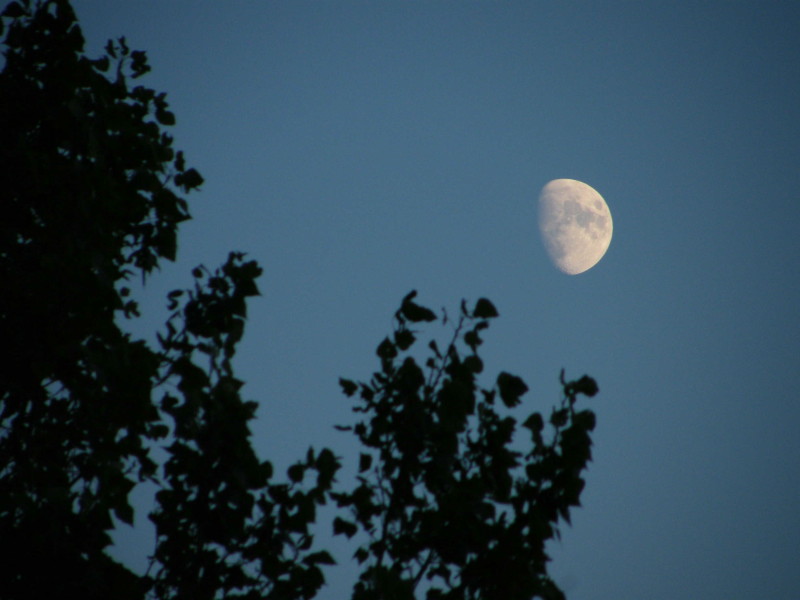 DSCF6888.JPG